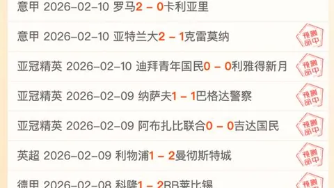 宝安秘境赏秋：落羽杉栈道漫步，鯤鹏径徒步寻幽
